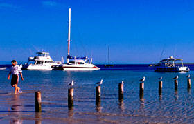 Blue Dolphin Caravan Park & Holiday Village - Stayed 4