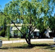 Blue Topaz Caravan Park  Camping Ground - Stayed