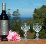 Bucks Point House - Stayed