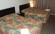 Burke & Wills Motor Inn - thumb 3