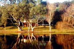 Bushy Lake Chalets - Stays Accommodation 1