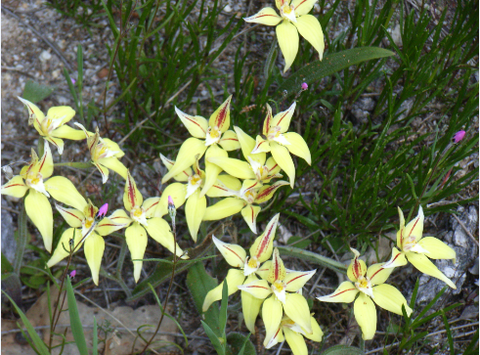 Chuckem Farmstay And Bed & Breakfast - Stayed 2