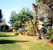 Condamine River Caravan Park - Stays Accommodation