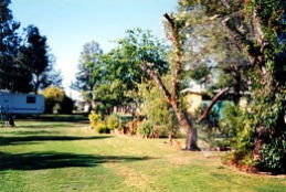 Condamine River Caravan Park - Stayed 0