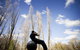 Crowne Plaza Canberra - thumb 5
