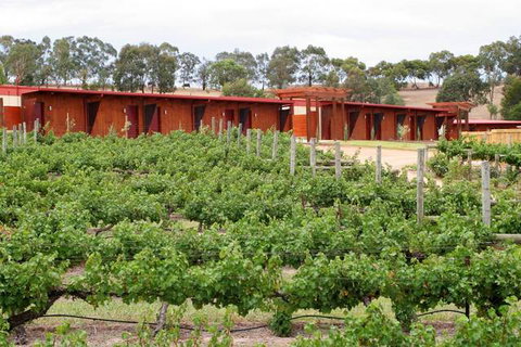 De Vine Escape - Stayed 1