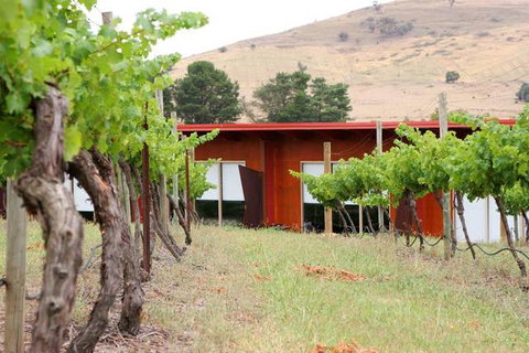 De Vine Escape - Stayed 2