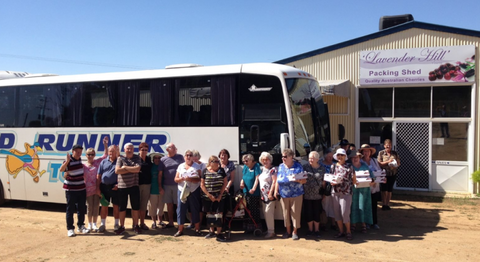 Palmers Leisure Tours - Stays Accommodation 3