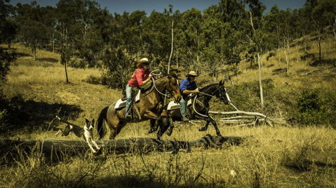 Australian Working Adventures / Visitoz - Stayed 3