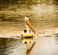 River Shack Rentals - Brenda Park - Stayed