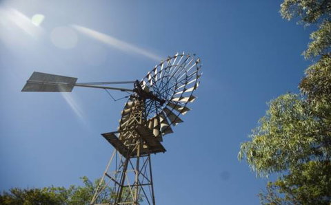 Lazy Lizard Tavern & Caravan Park - Stayed 7