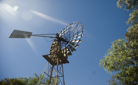 Lazy Lizard Tavern & Caravan Park - Stayed 2