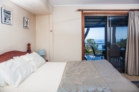 Grass Trees On Straddie - Stayed 2