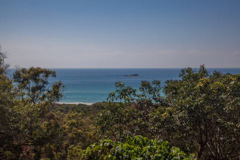 Grass Trees On Straddie - Stayed 4