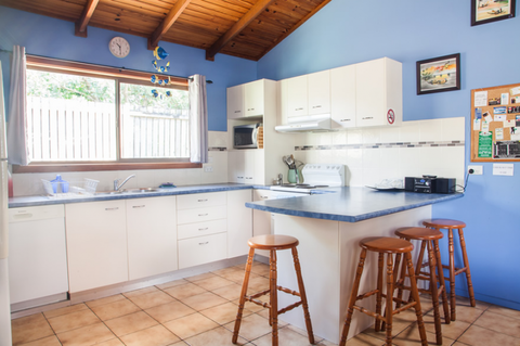 Grass Trees On Straddie - Stayed 1