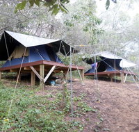 1770 Castaway Survivor Pty Ltd  - Stayed