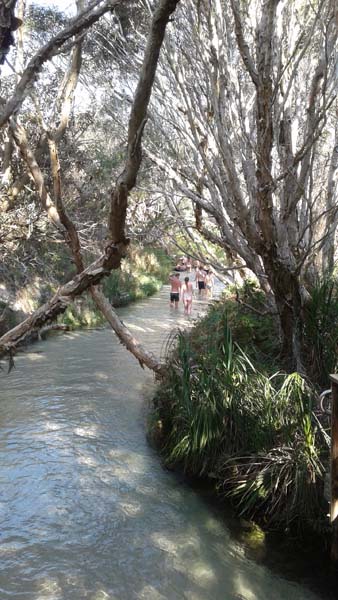 Pippies Fraser Island Tours - Stayed 0