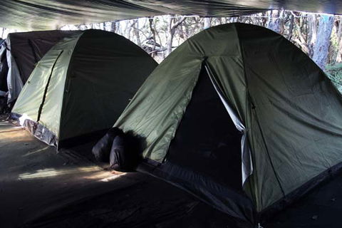 Pippies Fraser Island Tours - Stayed 7