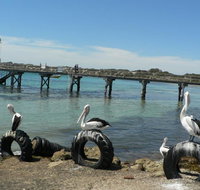 Fareview Beach House - Stayed