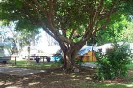 Donnybrook Caravan Park - Stayed 1