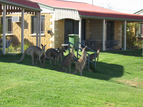 Explorers Caravan Park - Stayed 2