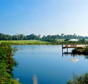 Forest Rise Eco Retreat - Stayed