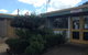 Gympie Caravan Park - Queens Park - thumb 3