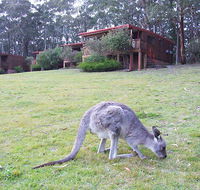 Jenolan Caves Cottages - Stayed