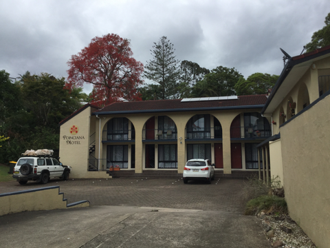 Murwillumbah Gallery Motel - Stays Accommodation 5