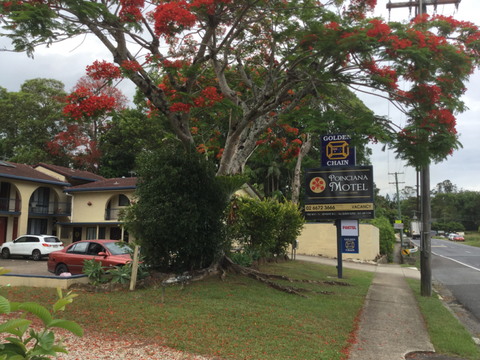 Murwillumbah Gallery Motel - Stays Accommodation 14