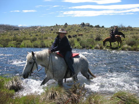 Reynella Kosciusko Rides Homestead - Stayed 11