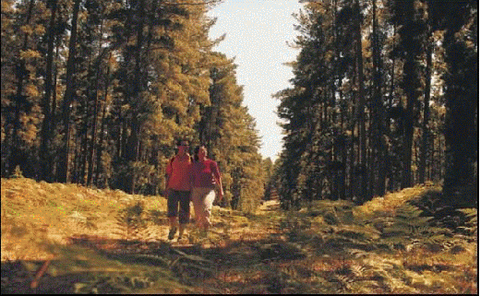 Millicent Hillview Caravan Park - Stayed 3