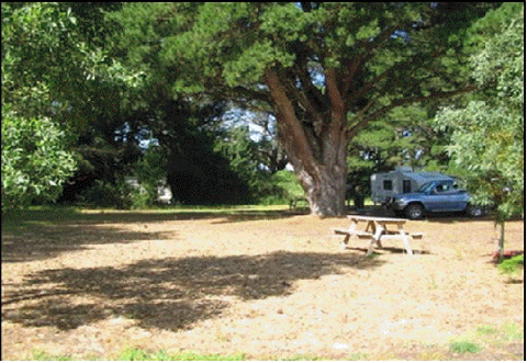 Millicent Hillview Caravan Park - Stayed 4