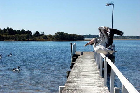 Moby Dick Waterfront Motel - Stayed 4