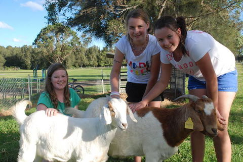 Mountain View Resort - Stayed 1