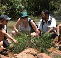 Nitmiluk Tours  Accommodation - Stayed