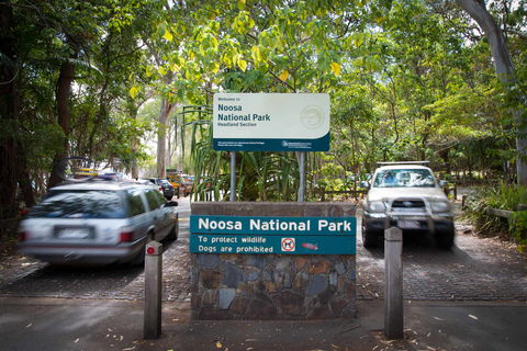 Palm Court Noosa - Stayed 9