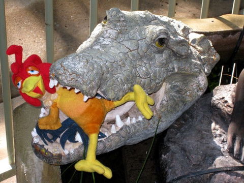 Palmerston Sunset Retreat - Stayed 1