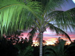 Palmerston Sunset Retreat - Stayed 4