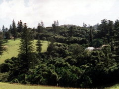 Poinciana Cottages - Stays Accommodation 4