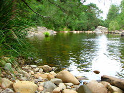 Riverwood Downs Mountain Valley Resort - Stayed 7