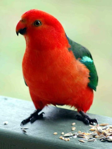 Rothesay Park - Stayed 3