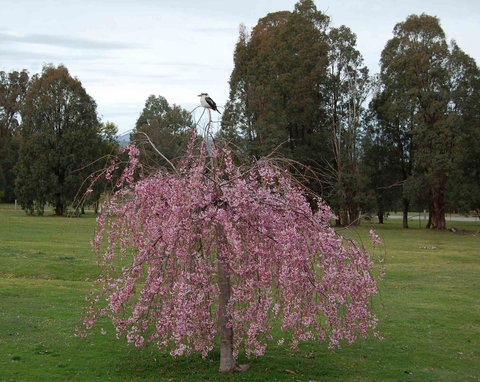 Rothesay Park - Stayed 4