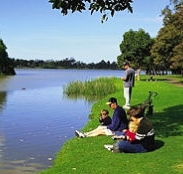 Sale Motor Village - Stayed