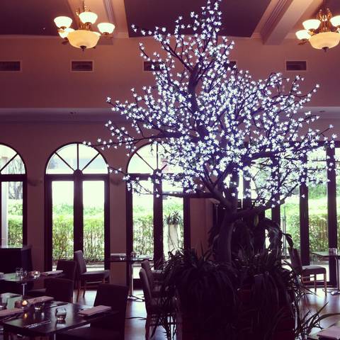Shangri-La Gardens - Stayed 1