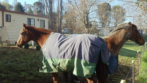 Snowy River Holiday Park - Stayed 3