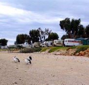 Stansbury Foreshore Caravan Park - Stayed