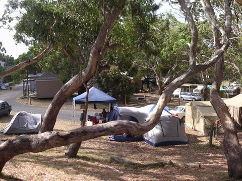 Bimbi Park Camping Under Koalas - Stayed 3