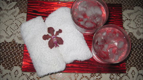 Bromeliad Bed And Breakfast - Stays Accommodation 6