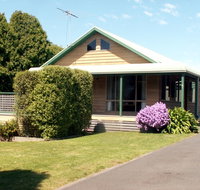 The Black Dolphin - Stayed